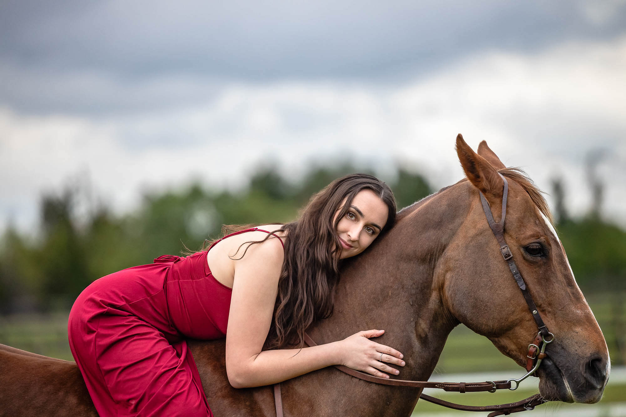 Equestrian photographer Cambridge ON-2 Cambridge equine photography