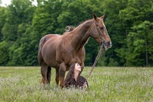 Equine portrait photographer horse and rider photography taken in Cambridge