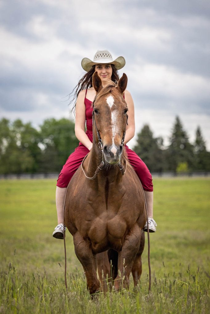 horse and a rider photography
