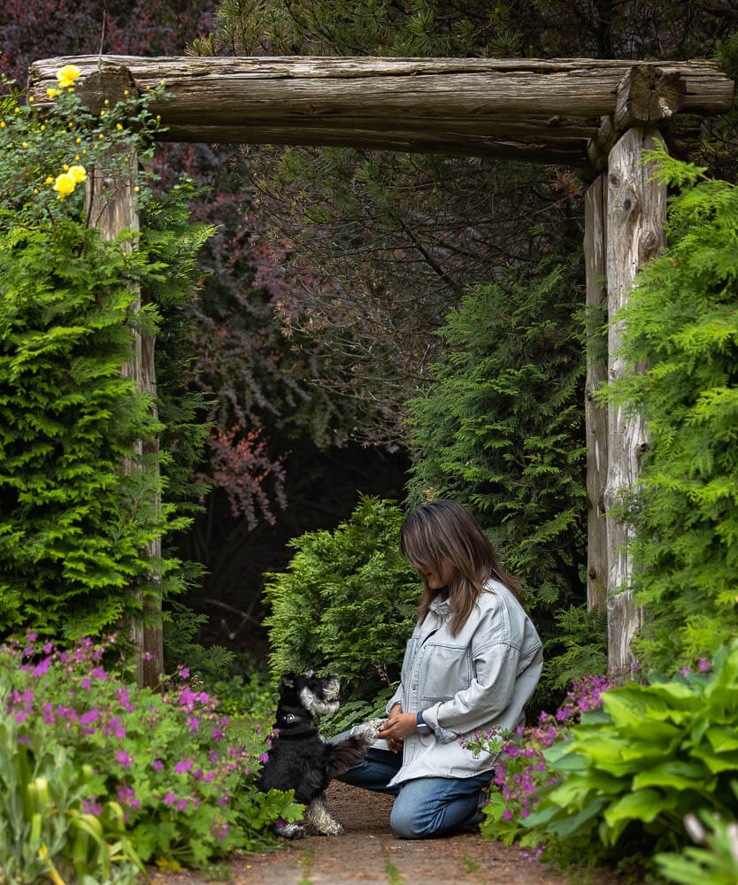a family dog portrait taken in Toronto