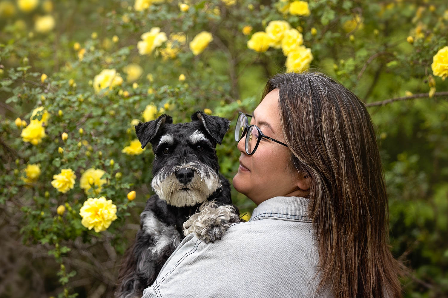 family photoshoot with dogs toronto Toronto family and pet photographer