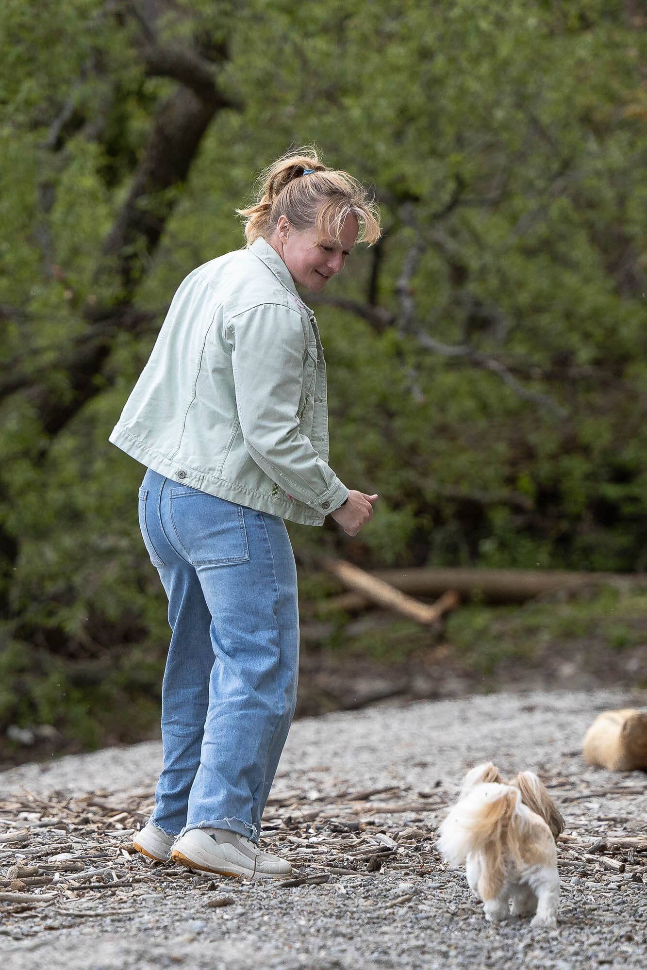 beach family and pet photos 