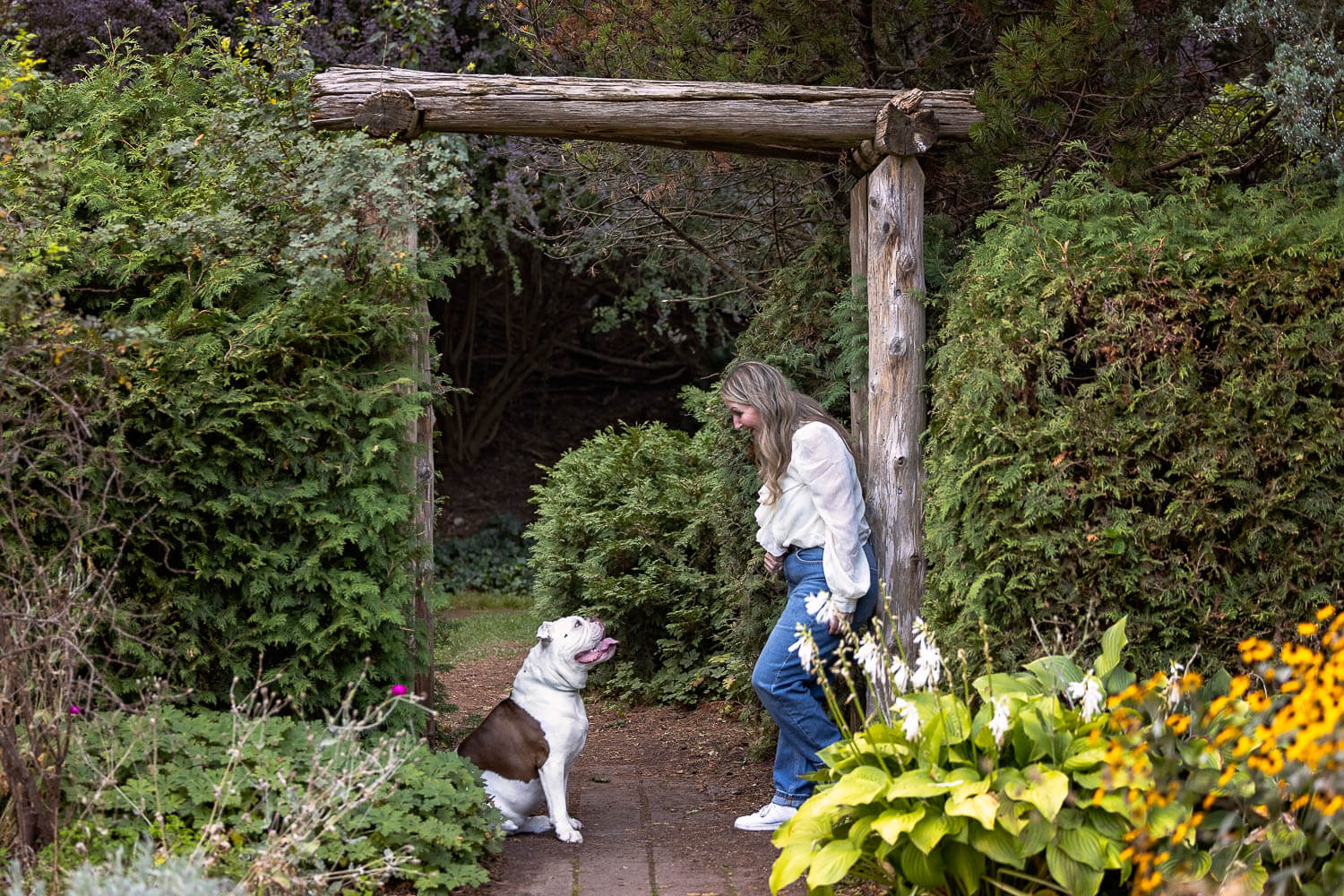 dog looking at the owner during a photoshoot in Toronto