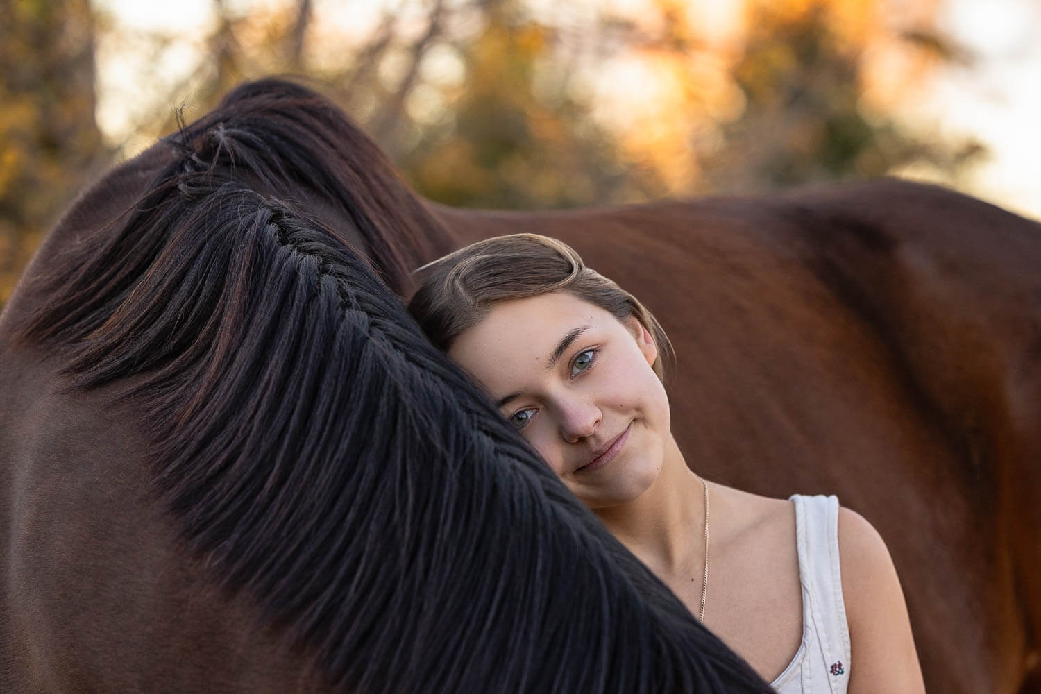 fall-golden-hour-equine-portraits-ontario. fall golden hour equine photography session
