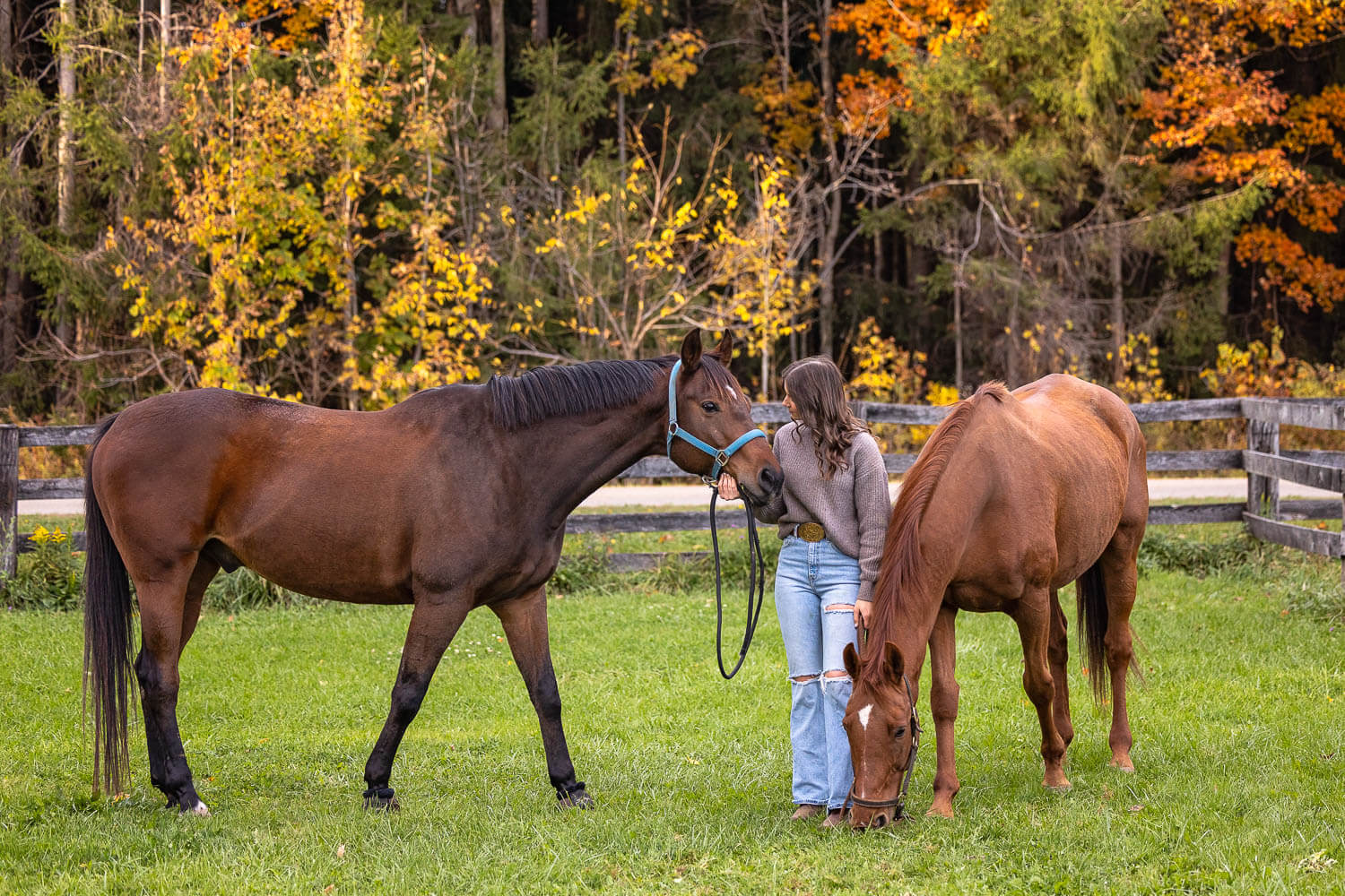 fall-horse-photos-blue-heron-equestrian horse fall photoshoot at blue heron equestrian