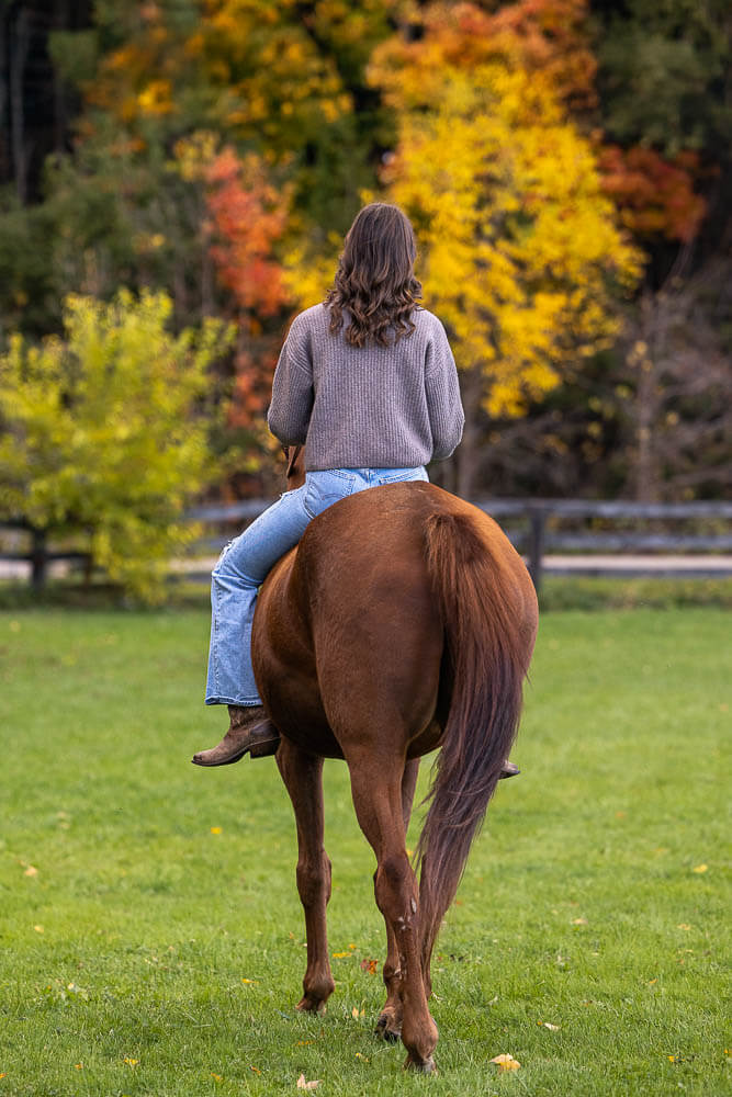 outdoor-horse-photography outdoor equine photoshoot during the fall