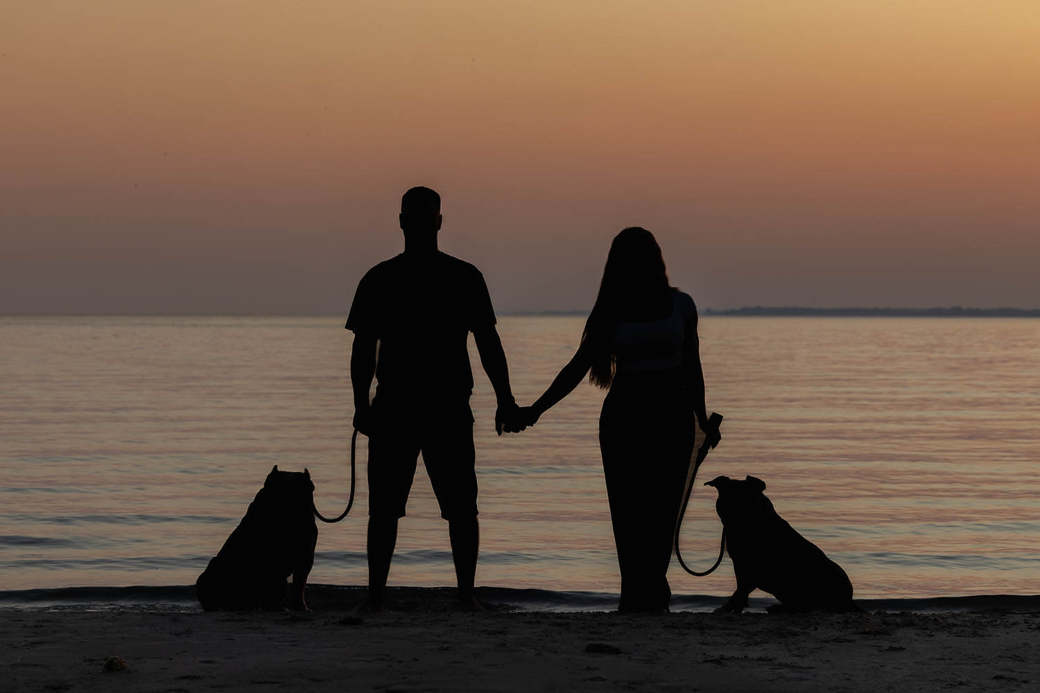 golden hour dog photoshoot in Dunville