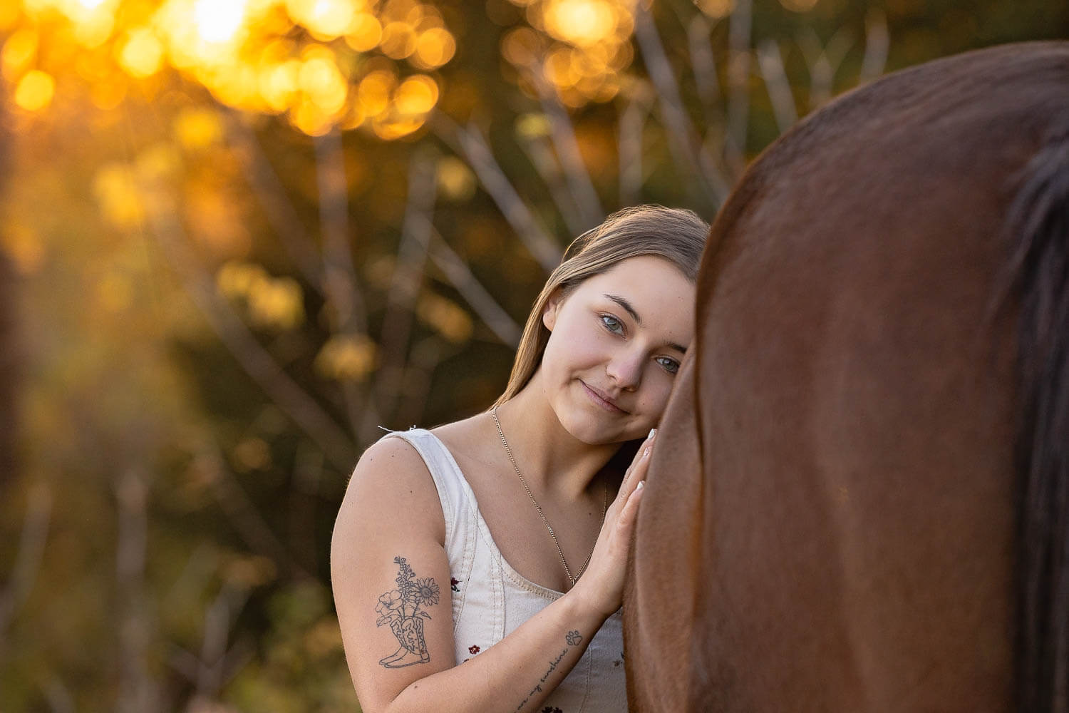 warm-sunset-horse-portraits-ontario fall equine portrait