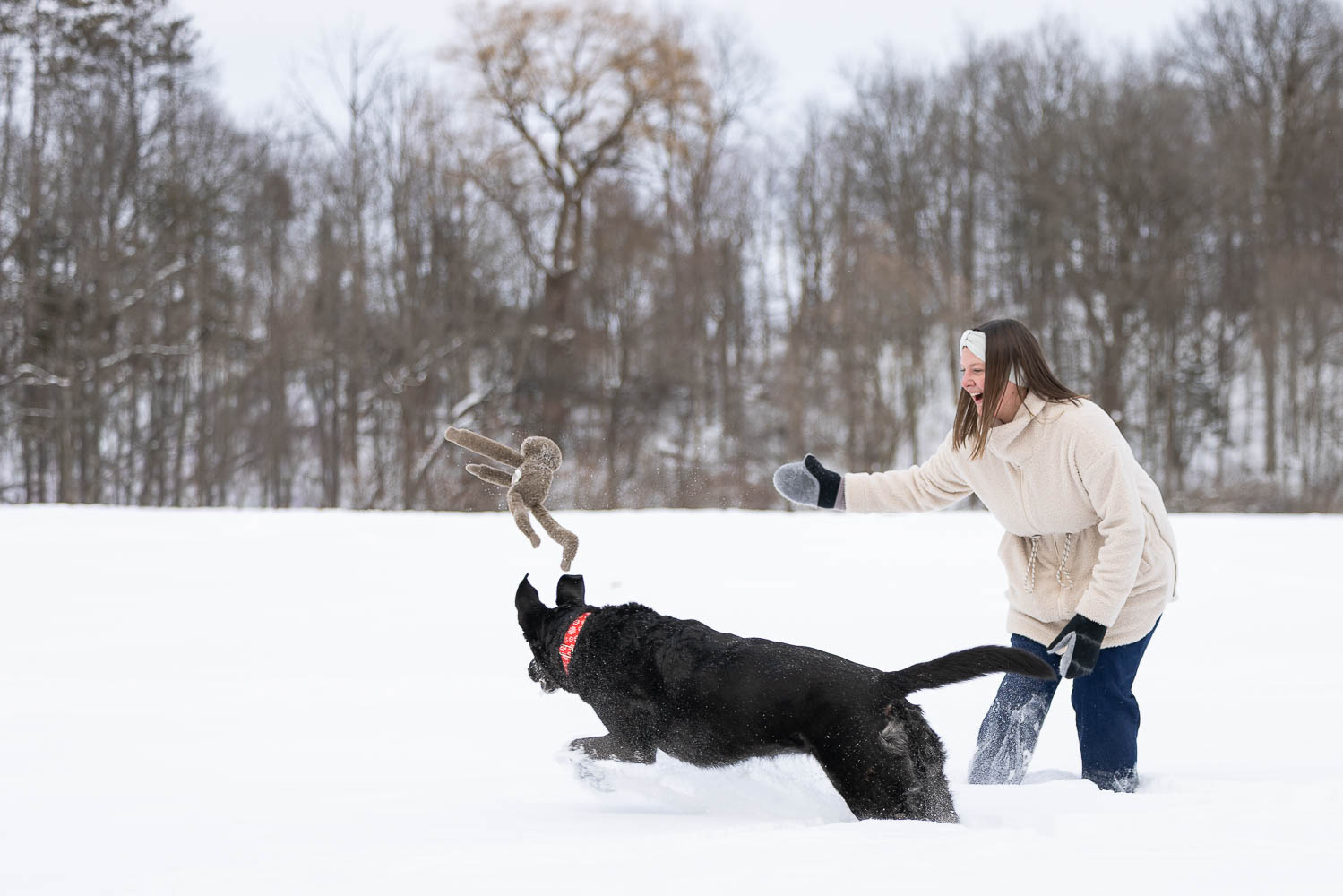 outdoor family photos with dog winter dog photography