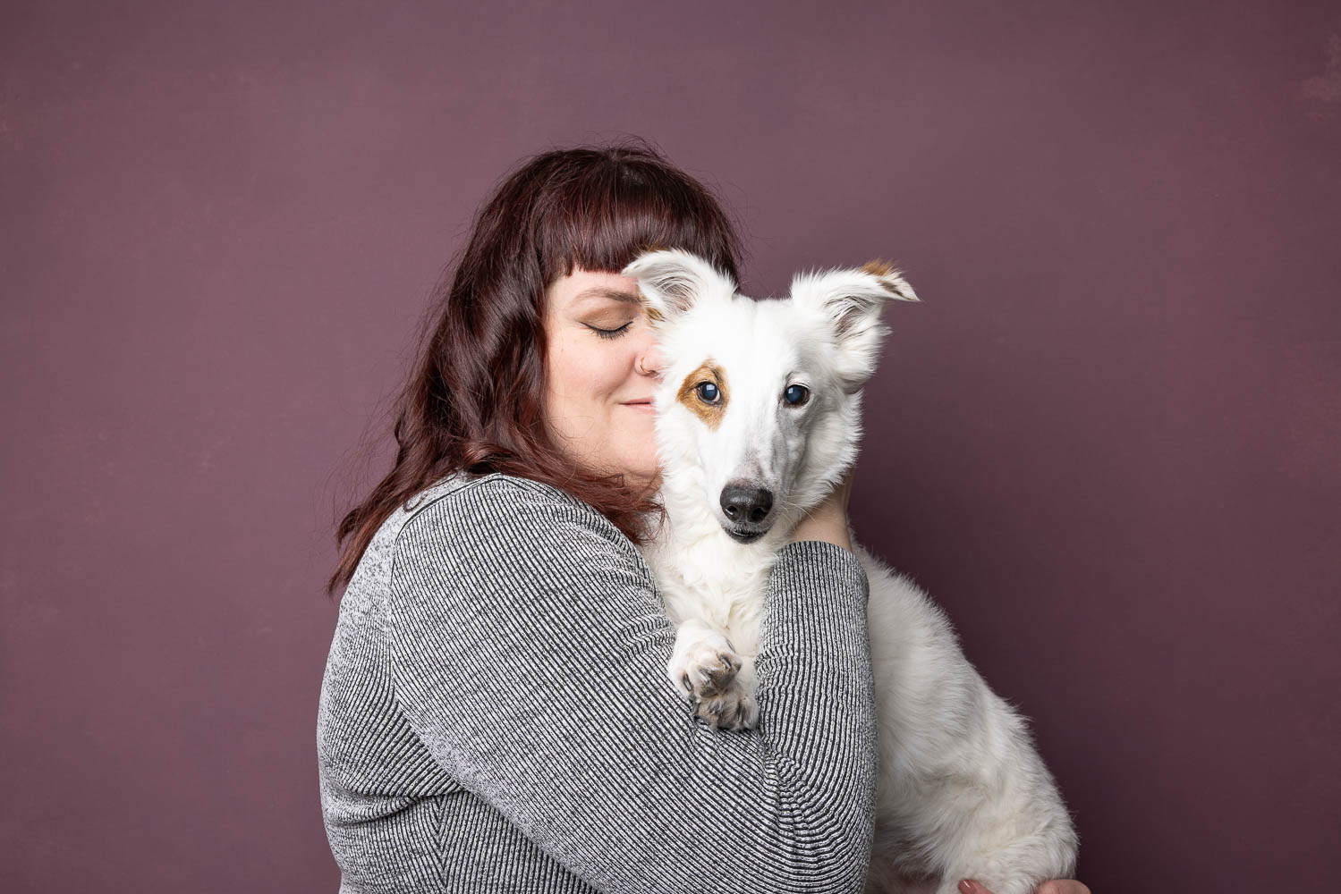 studio pet portrait