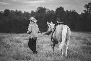 horse portrait