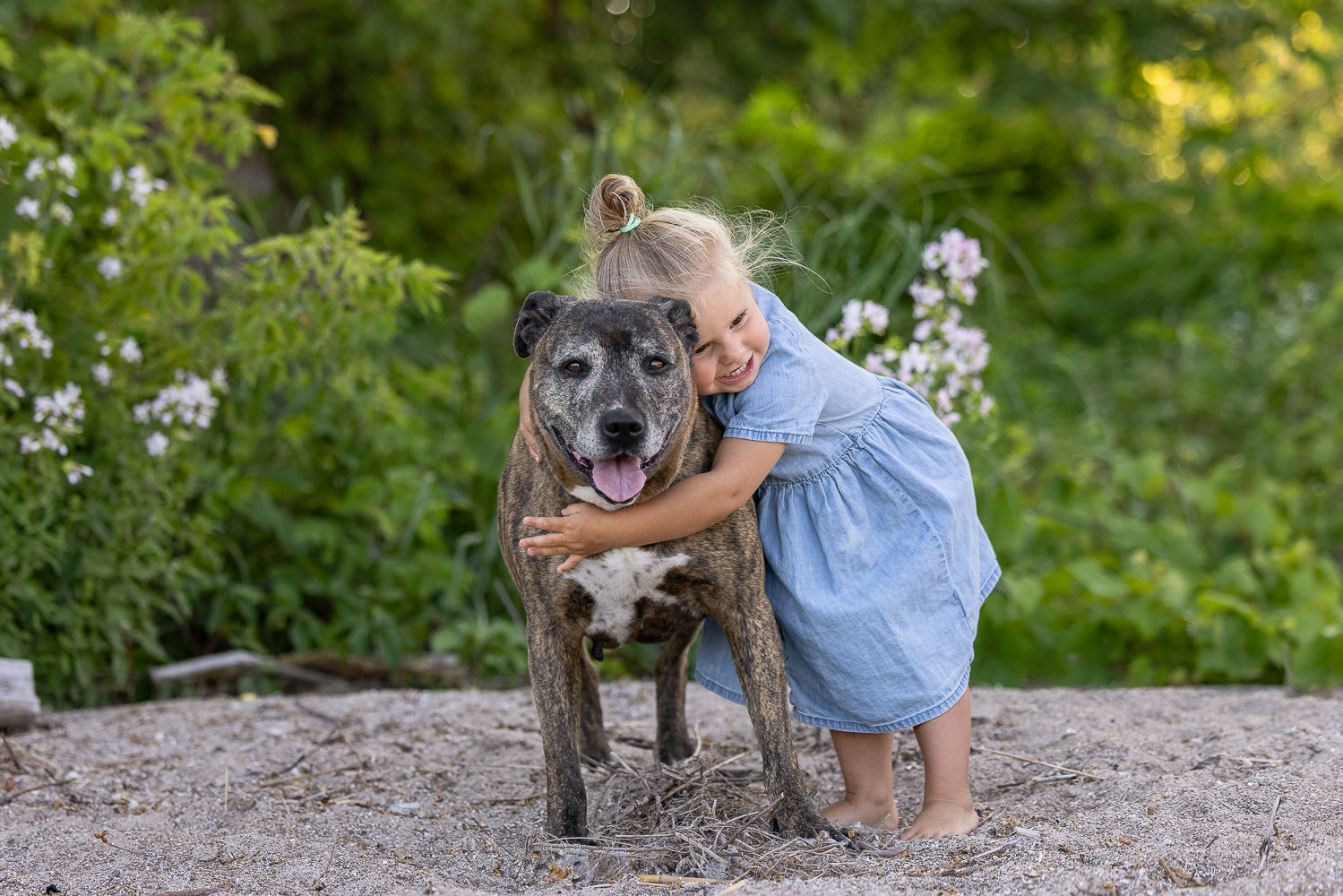 dog and kid portrait at a beach photoshoot