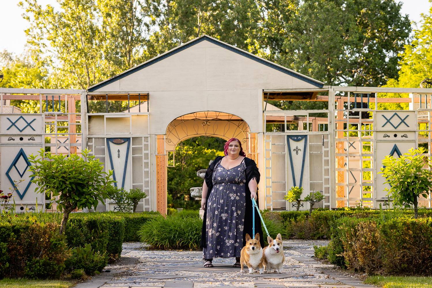 dog photographer norfolk county whistling garden pet and family photoshoot