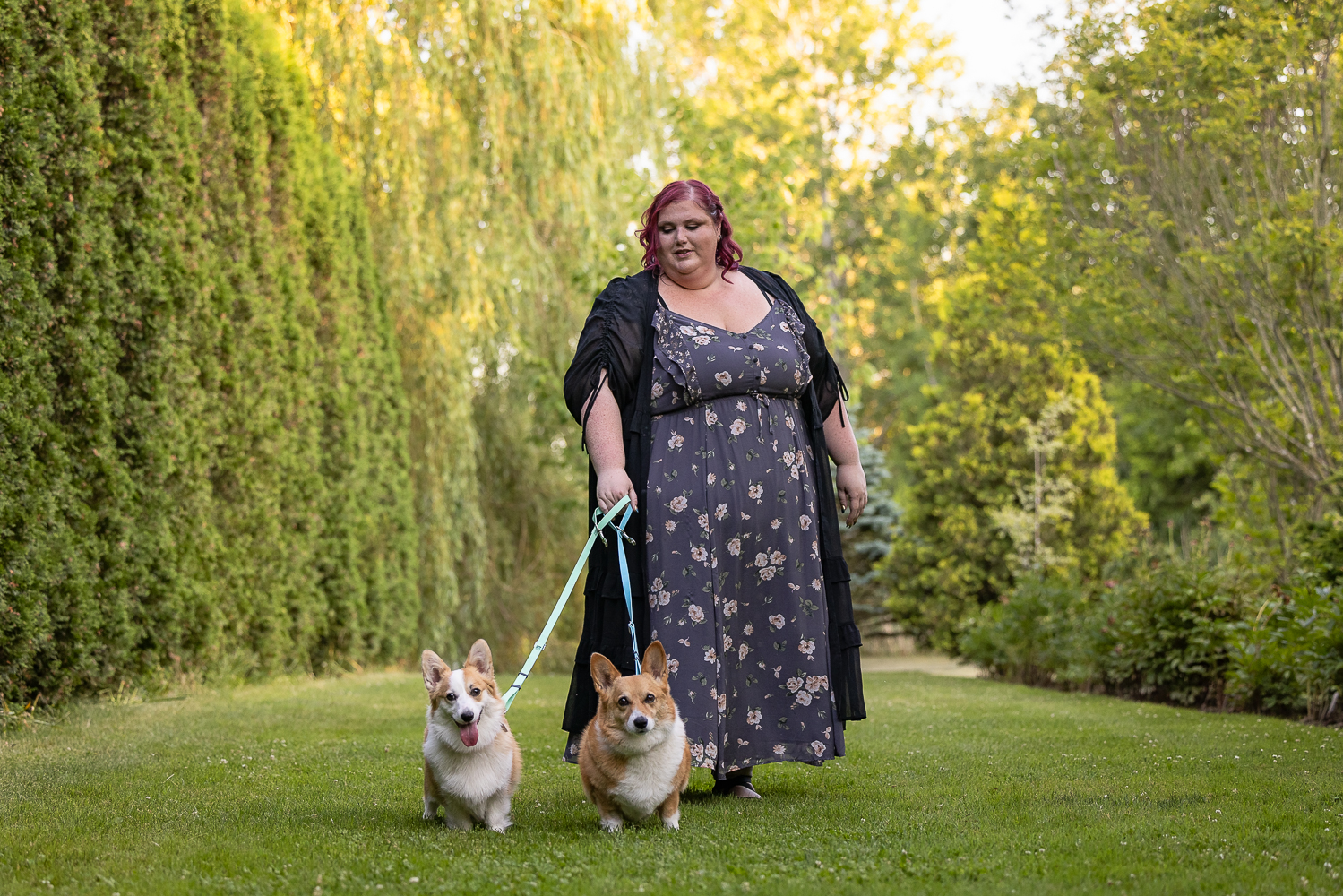 haldimand dog and family portrait pet and family photoshoot in Haldimand