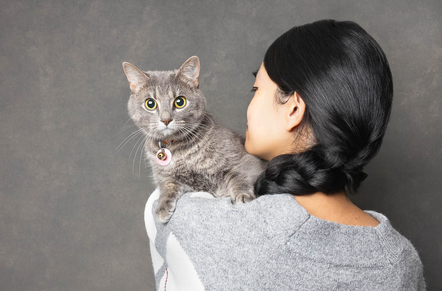 norfolk county cat photographer norfolk county cat photographer in studio
