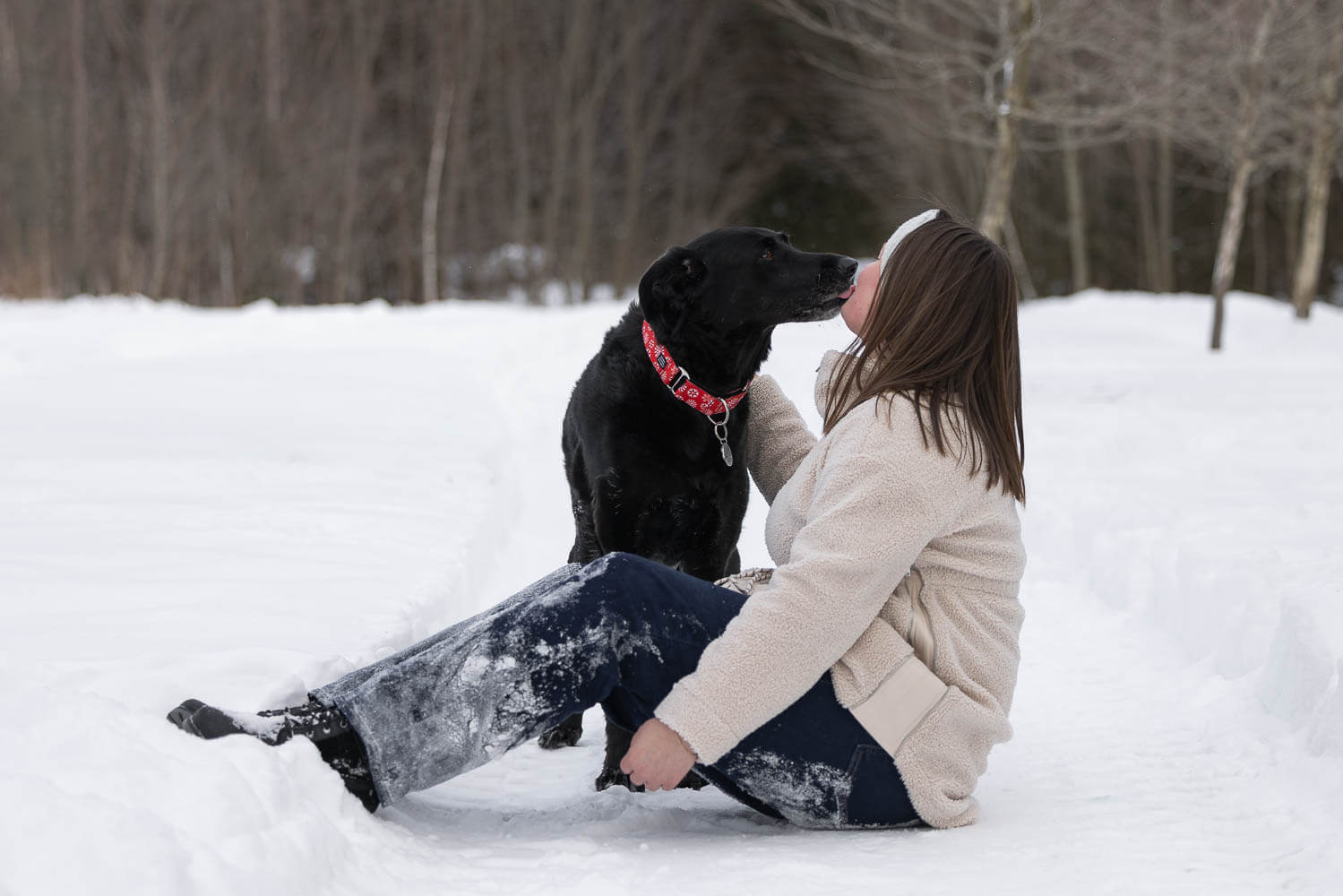 winter pet photos winter dog photoshoot at Lowville Park